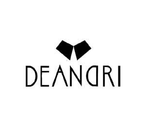 Deandri negozio abbigliamento Usa 